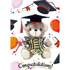 Graduation Teddy Bear